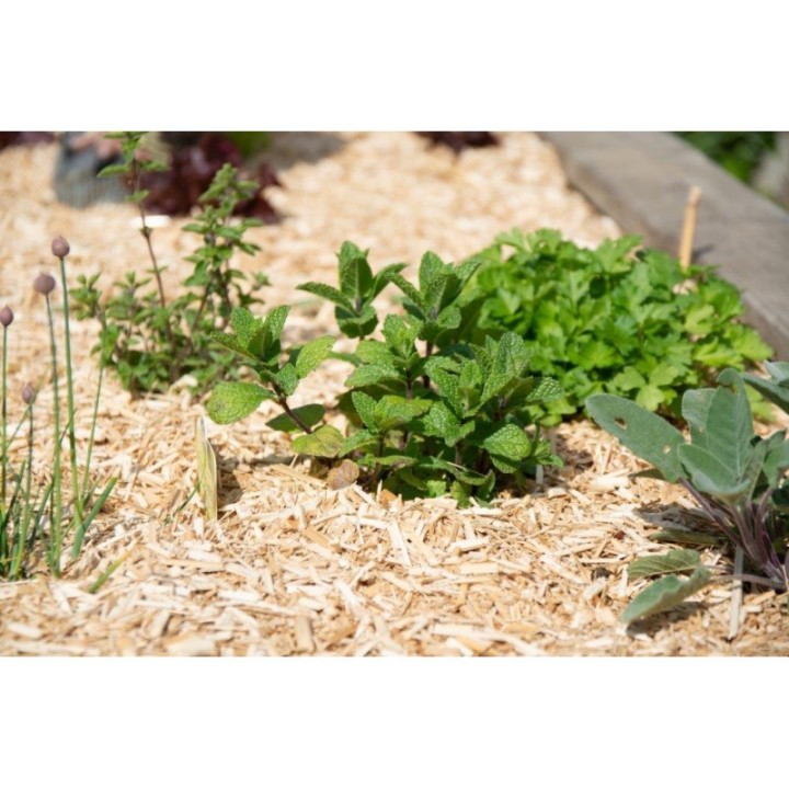 Vitalmulch lose nur Abholung