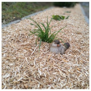 Vitalmulch lose nur Abholung